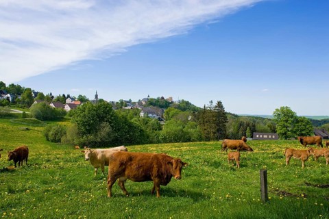 Landscape near Frauenstein
