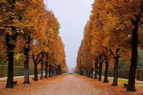 About 15 kilometres east of Dresden city centre, directly on the Elbe, lies Pillnitz Palace & Park,