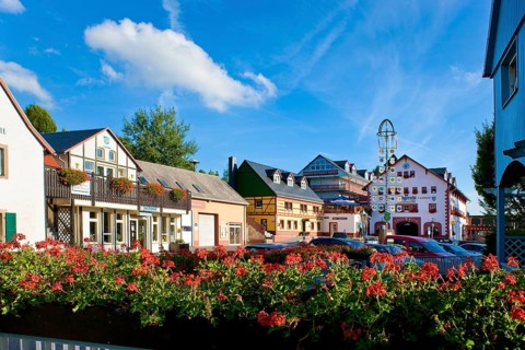 Höckendorf is a district of the Saxon municipality of Klingenberg in the Sächsische