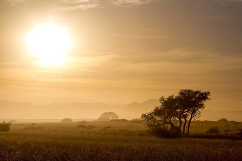 Landscape at sunrise, Namib Naukluft Park, Namibia, Africa