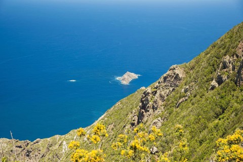 Panorama of Cabezo del Tejo, coast near Taganana, Anaga Mountains, Anaga, Tenerife, Northeast,