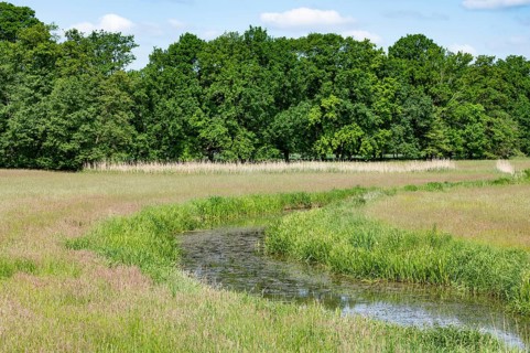 River Aller, Allertal nature reserve between Wolfsburg and Gifhorn, Lower Saxony, Germany, Europe