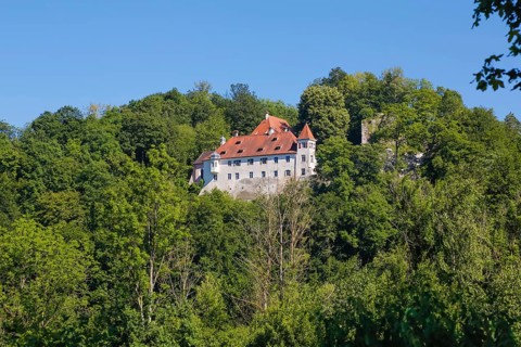 Klingenstein Castle, historic building, architecture, trees, lush greenery, small castle in the