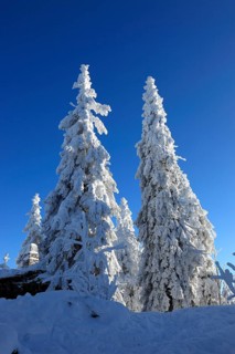 Winter landscape in the Fichtelgebirge, Bayreuth district, Upper Franconia, Bavaria, Germany,