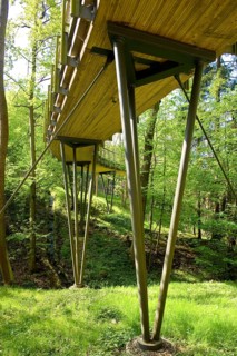 The Forest Botanical Garden Tharandt is an institution of the Technical University of Dresden and