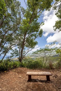 Bench with Aloha Symbol on Sleeping Giant (Nounou Mountain) East Trail, Kauai, Hawaii, USA, North