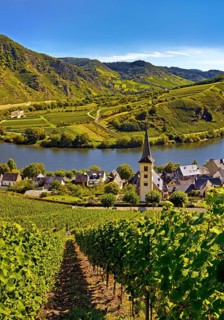 Moselle loop with vineyards and Saint Laurentius Church from the Bremmer Calmont via ferrata,
