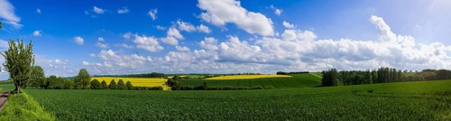 Fields near Lommatzsch