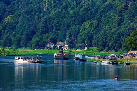 Elbe steamer Pirna in Wehlen