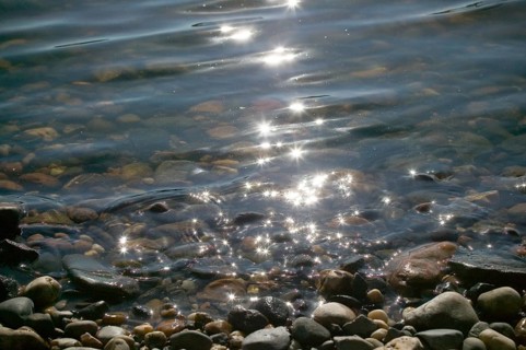 Elbe water, the water quality of the Elbe has improved significantly in recent years