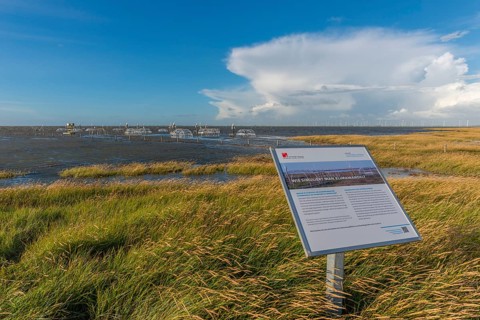 Flooded salt marshes at the Hamburger Hallig, University of Hamburg, Warming experiment, Warming