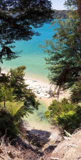 Abel Tasman Coast Track, Gilbert-Point, Kaiteriteri, New Zealand, Oceania