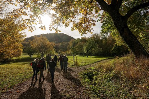 Hiking group, Hiking trail to Hohenneuffen Castle, Beuren, Swabian Alb, Baden-Württemberg, Germany,
