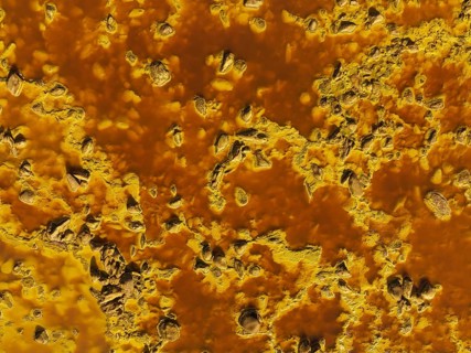 Detail of the Rio Tinto (Red river) with its deep reddish hue due to oxidised iron minerals in its