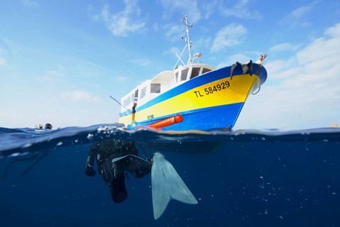 Diver swims back to the dive boat. Half and half shot. Dive site Giens Peninsula, Côte dAzur,