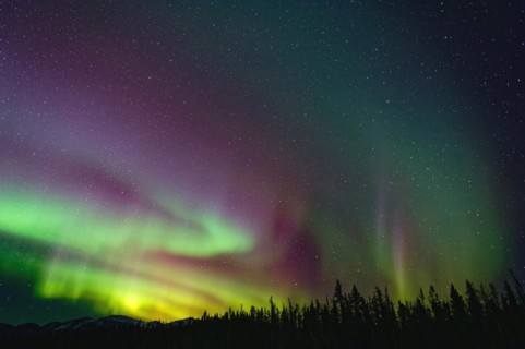 Northern lights (Aurora borealis) in different colours, starry sky, wintry forest landscape in