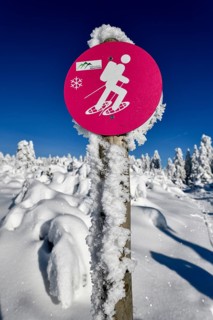 Sign snowshoe hiking trail near the Vogelskopf, near Baiersbronn, county Freudenstadt, Black