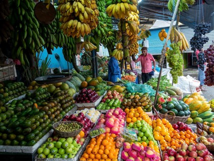Fruit stand with colourful tropical fruits, bananas, mangoes, Sri Lanka, Asia