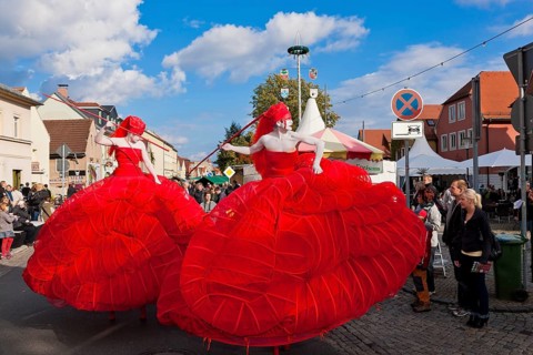 Autumn and wine festival in Altkötzschenbroda