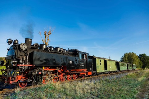 For the annual line birthday of the Lößnitzgrundbahn, many special trains from different eras of