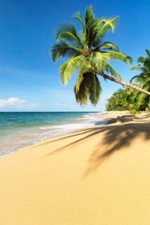 Playa Uva, Puerto Viejo, Limon, Caribbean, Costa Rica, Central America