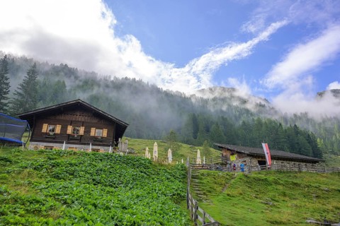 Lower Ulfaseralm and Nebelwald, moss in Passeier, South Tyrol, Italy, Europe