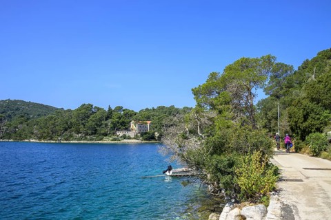 Beautiful cycle path along the lake, Mljet Island, Dubrovnik-Neretva County, Croatia, Europe