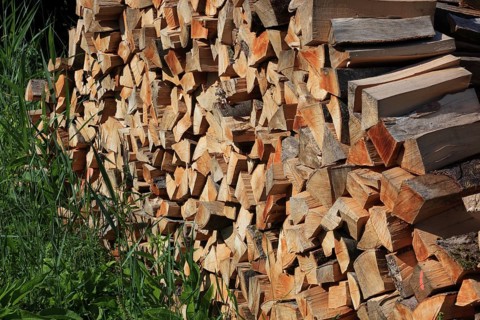 Stacked firewood, split logs in a pile, polter, logs