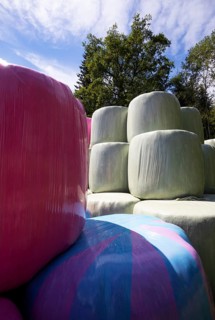 Colourful hay bales in the meadow near the village of Koppl, Osterhorngruppe, Flachgau, Land
