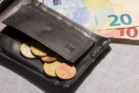 Wallet with coins and notes, euro, Germany, Europe