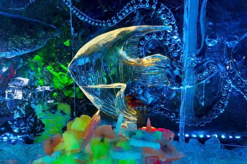 Fish in front of octopus, Ice Sculpture Festival, Zwolle, Province of Overijssel, Netherlands