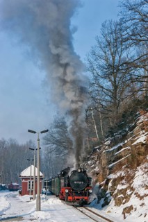 Little railway in Seifersdorf