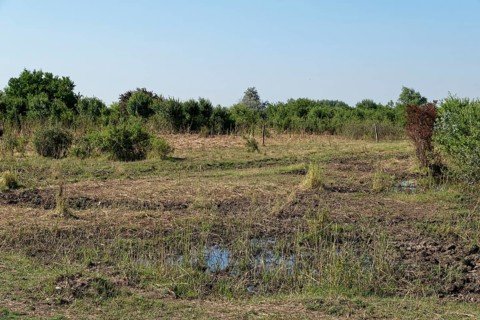 Puszta and steppe landscape in Hortobagy National Park, Hortobagy Nemzeti Park, UNESCO Biosphere