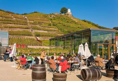 Schloss Wackerbarth or Wackerbarths Ruh' is a baroque castle surrounded by vineyards in the