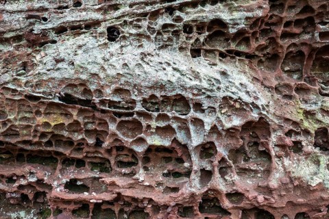Eroded red sandstone, old castle rock, close-up, natural and cultural monument, Brechenberg near