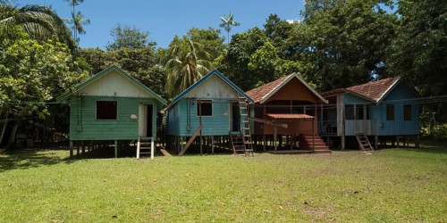Traditional houses of a caboclos tribe along the (Amazona) river, Amazon state, Brazil, South