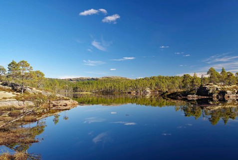 Wooded banks reflected in a calm lake, deserted, pine trees, Kystriksveien, Helgeland, Nordland,