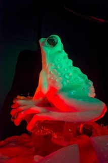 Frog, Ice Sculpture Festival, Zwolle, Province of Overijssel, Netherlands