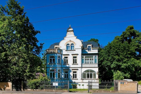 Dresden Weißer Deer
