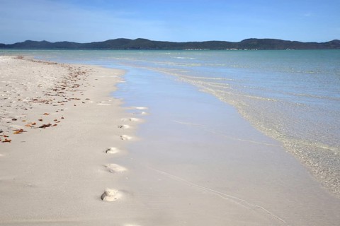 White sandy shoreline of Whitehaven Beach on Whitsunday Island in the Coral Sea, Queensland,