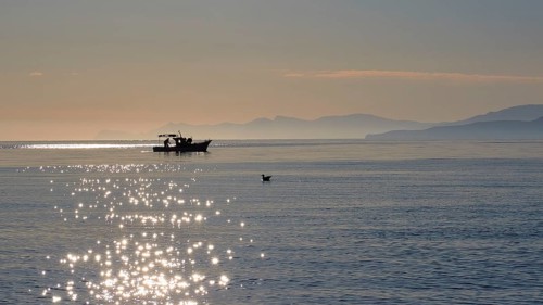 Fishing boat, glitter on the water, sunrise, morning light, Marettimo, Egadi Islands, Sicily,