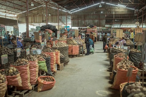 Market hall, potato variety, Mercado Mayorista, Huancayo, Peru, South America