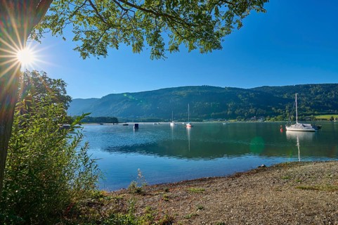 Lake shore, sailboats, tree, sun, morning, summer, Steindorf am Lake Ossiach, Lake Ossiach,