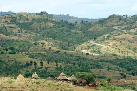 Agriculture showing farmland with fields and primitive huts in the Ethiopian highlands, Ethiopia,