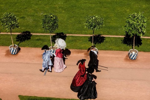 Return of the oranges from their winter quarters to the Dresden Zwinger