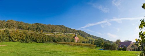 Vineyards and vineyard church in Pillnitz