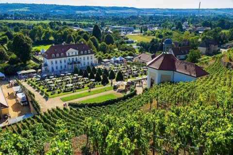 Wackerbarth Castle or Wackerbarths Ruh is a Baroque castle surrounded by vineyards in the