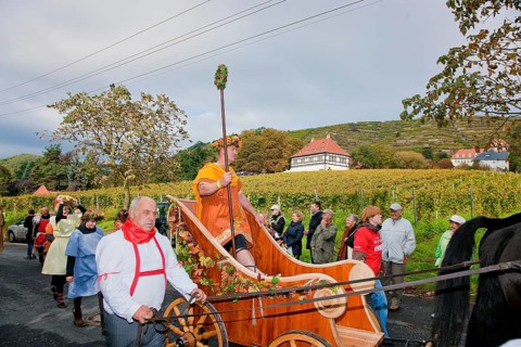 The Saxon Winegrowers' Procession 2011