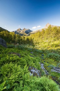 View of Østerdalen valley, Straumdalstinden mountain, Helgeland coast near Jekt, Rødøy, Nordland,