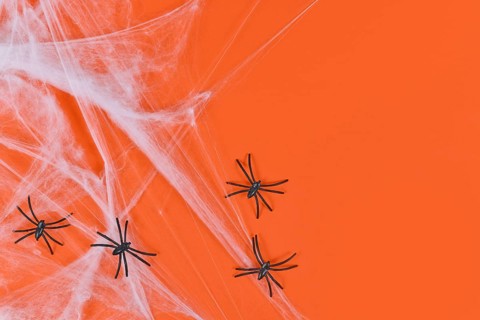 Cobweb and plastic spiders on side of orange Halloween background with empty copy space